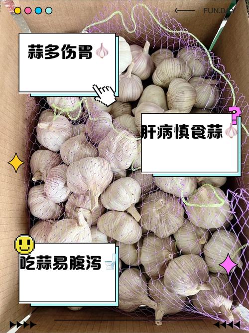 天天吃蒜對身體有什么壞處，天天釣魚